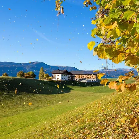Farm stay Treffhof